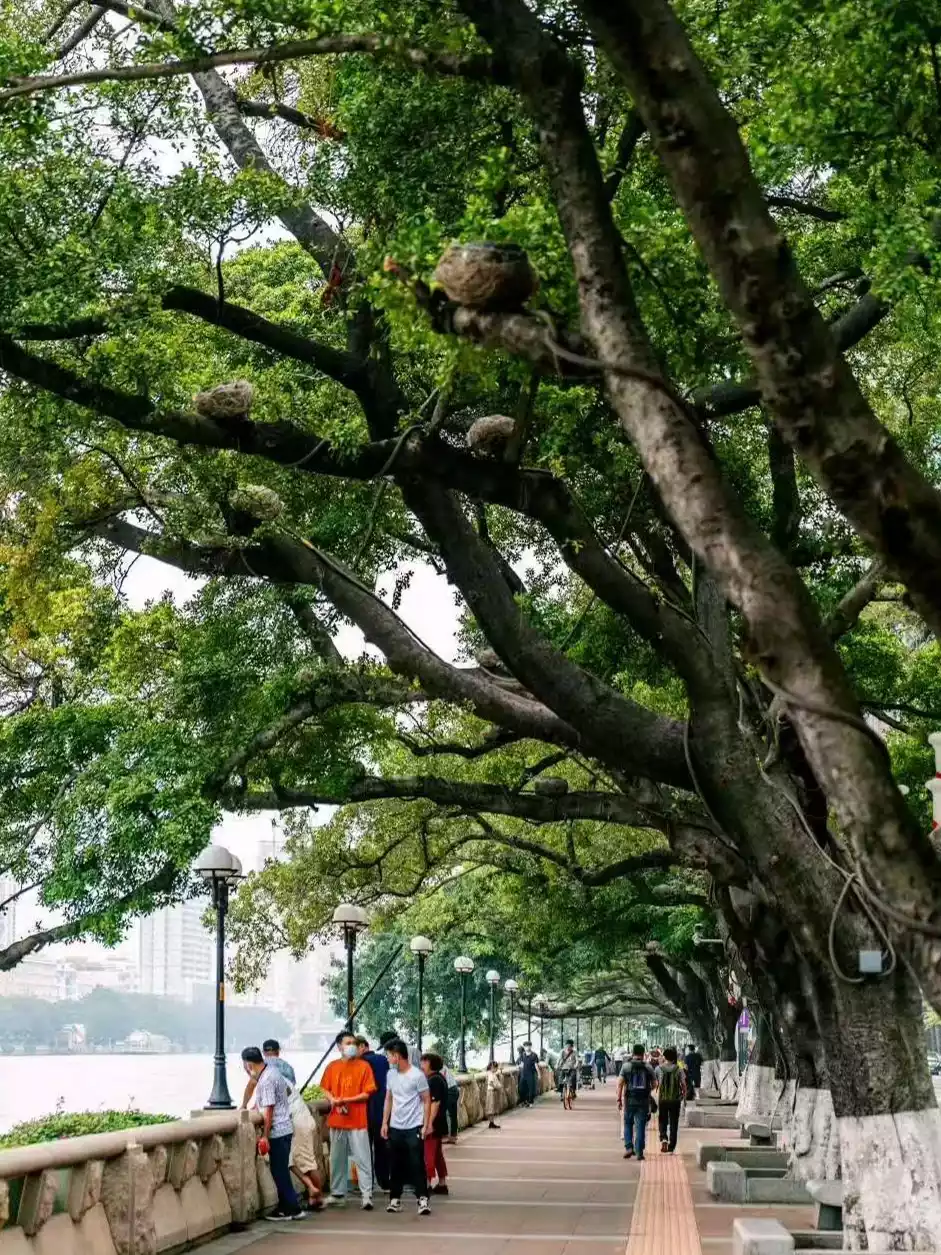 图源：又一植@小红书