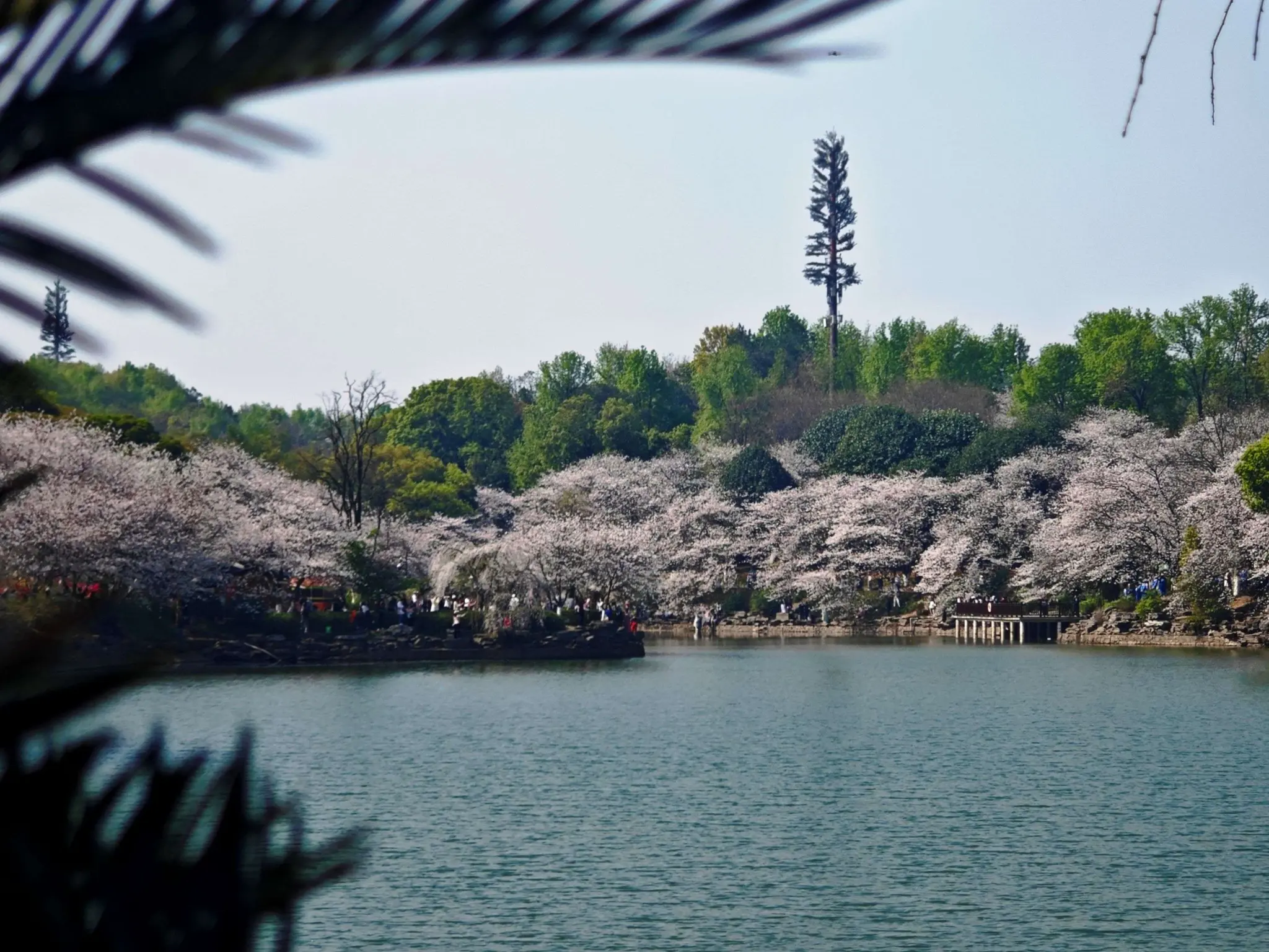 相信我们永远有下次